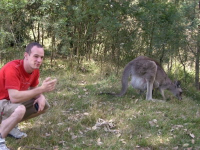 Niel och kangaroo.