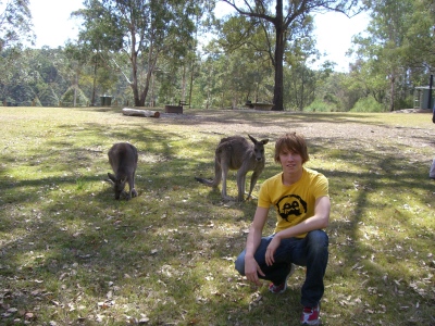 jag och kangarooer.