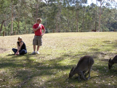 Brita, Danny och kangaroos.