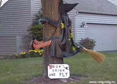 don't drink and fly
