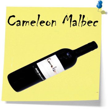 Cameleon Malbec Argentina, ett ekologiskt odlat vin i budgetklassen. Kostar 67 kronor 
