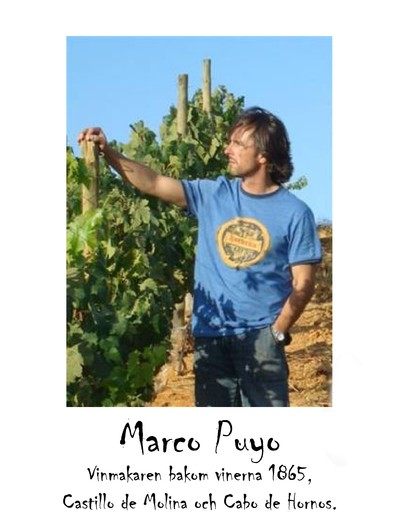 Marco Puyo - vinmakaren bakom vinerna 1865, Castillo de Molina och Cabo de Hornos.