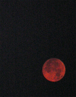 fullmåne maj 2006