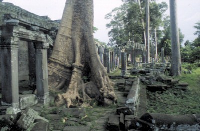 Rötter om murar i Ta Phrom
