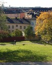 Utsikt från Vitabergsparken, med Sofia kyrka i ryggen