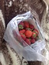 Massa goda jordgubbar i sommarvärmen