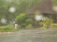 första dan i sydafrika var det regn men så himla vackert