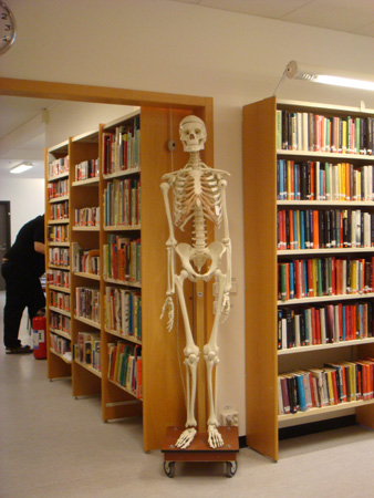 Skelett i sjukhusbibliotek, originalbilden.