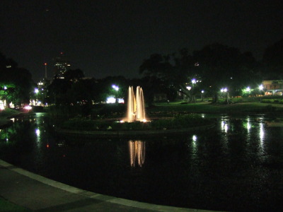 fin park under natt
