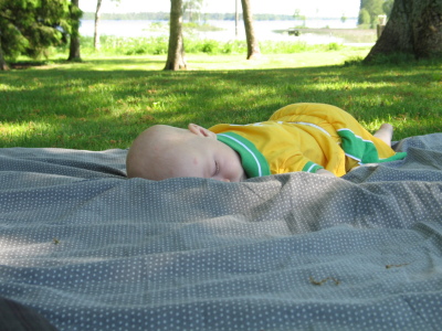 11 juni; Linus sover i skuggan av ekarna