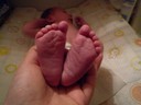 Finaste fötterna i världen! ryms i mammas hand än så länge!