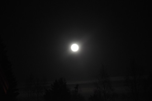 Jag var ute kl. 21.40 på långfredagen 2012 och försökte knäppa kort på fullmånen. Den var jättefin i verkligheten! :D