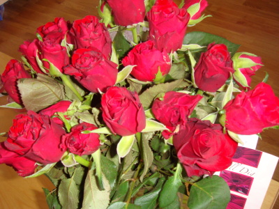 26 röda rosor