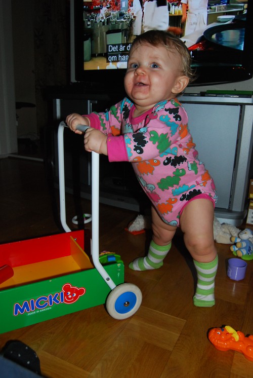 MellaBella när hon precis fyllt 10 mån... börjar gå lite med vagnen :)