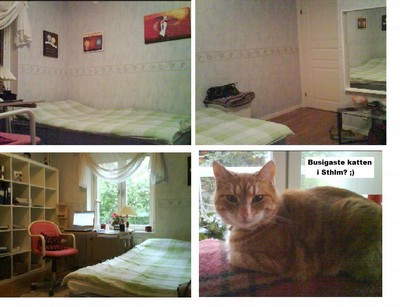Här är mitt rum, och katten som är en riktigt buse.