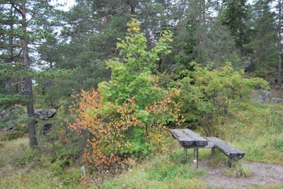 Höstbild norraberget september - 09