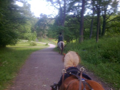 Alfons körhäst och Hanna rider Vasti