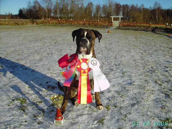 Valsängens Rolex efter sin allra sörsta seger MY DOg 6 januari 2009