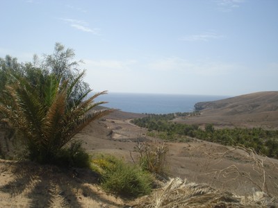 Utsikt, över havet från kamelridningen