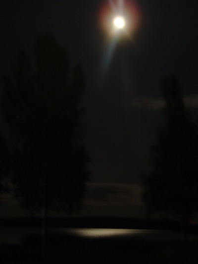En bild som jag har tagit vid sjön i Bergsjö.