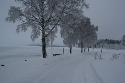Vinterland till Vika